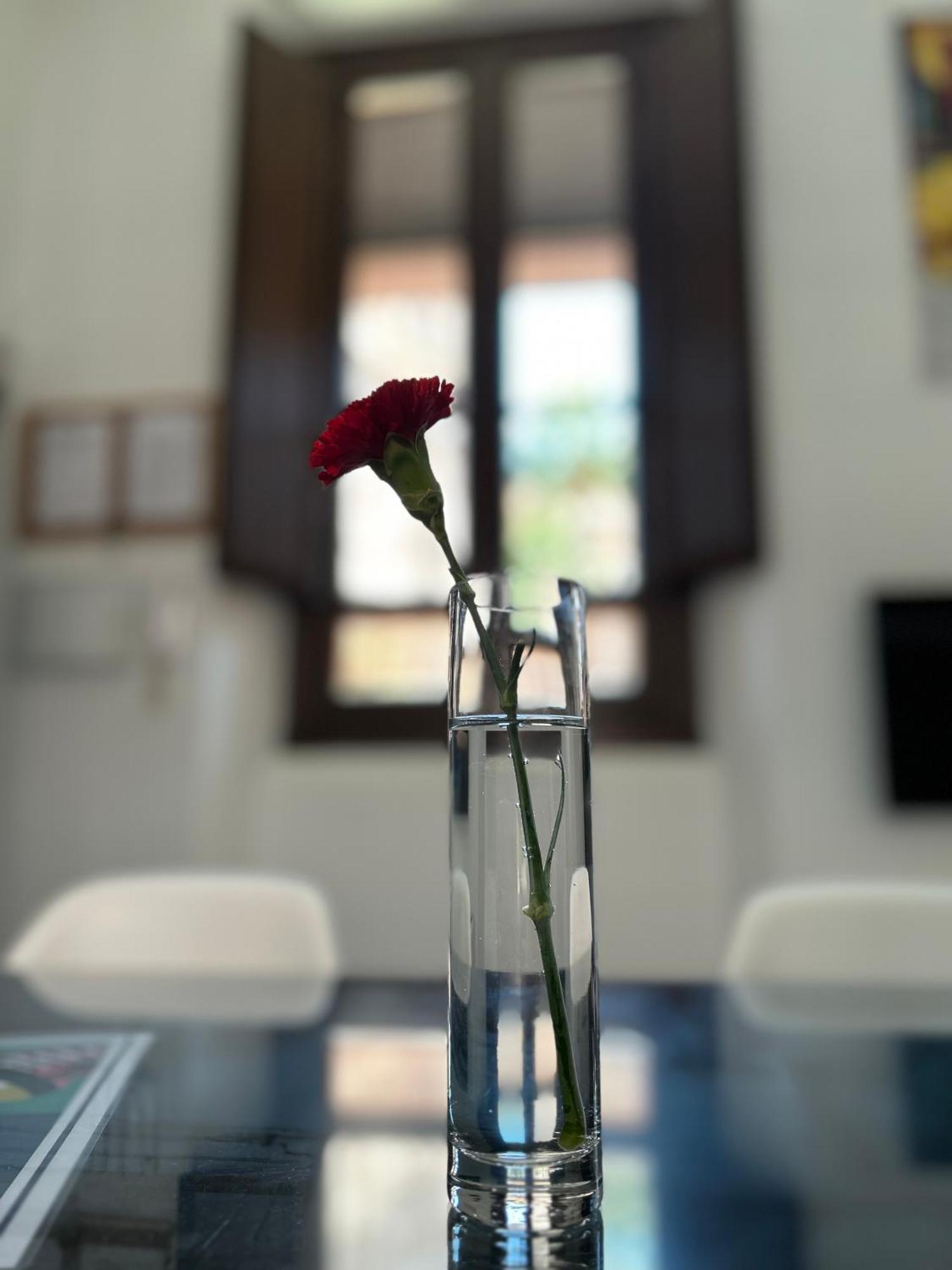 Romanilla Loft Granada Dış mekan fotoğraf
